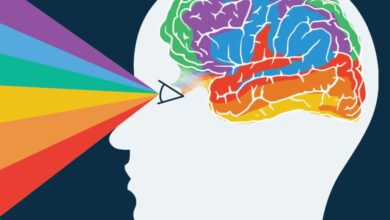 Photo of Влияние цвета на настроение и психоэмоциональное состояние