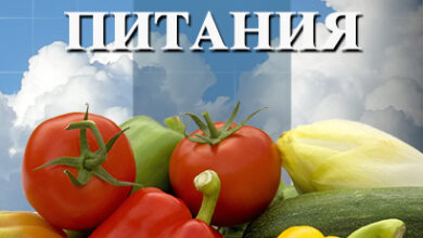 Photo of Основы здорового питания