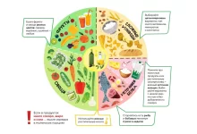 Photo of Основы правильного питания