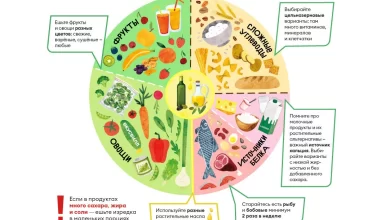Photo of Основы правильного питания