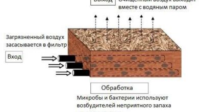 Photo of Эффективные методы очистки воздуха от загрязнений: основные принципы и задачи