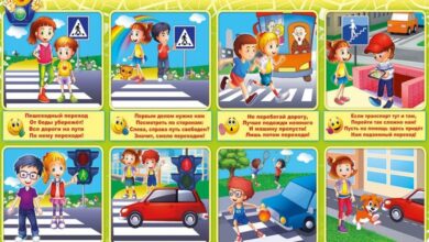 Photo of Яркость и безопасность на дорогах