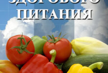 Photo of Основы здорового питания